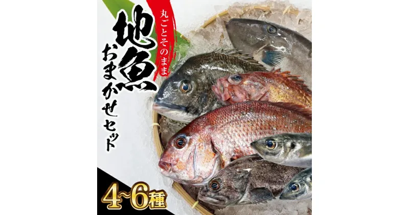 【ふるさと納税】地魚おまかせセット 4～6種類入り 計2kg以上 冷蔵便 ※着日指定・離島（沖縄県を含む）への発送不可 東北 山形県 酒田市 鮮魚 詰め合わせ 産地直送 セット