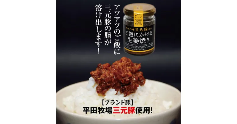 【ふるさと納税】平田牧場三元豚使用 ご飯にかける生姜焼き 80g×1個 ※着日指定不可