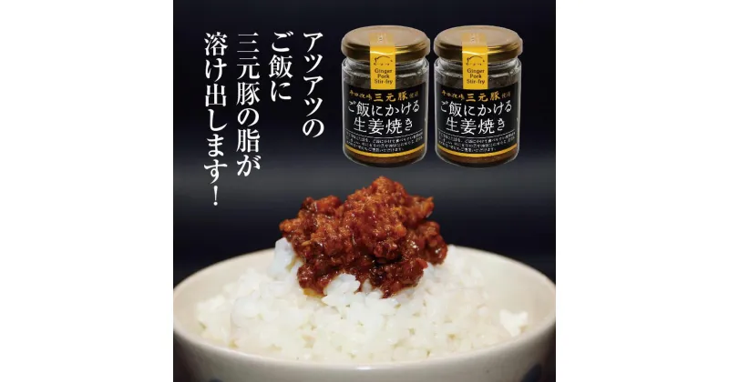 【ふるさと納税】平田牧場三元豚使用 ご飯にかける生姜焼き 80g×2個 ※着日指定不可