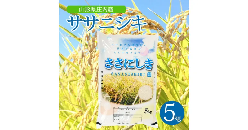 【ふるさと納税】ササニシキ 5kg×1袋 令和6年産米 山形県庄内産 東北 山形県 酒田市 庄内地方 米 精米 白米 お米 ごはん ご飯 庄内米