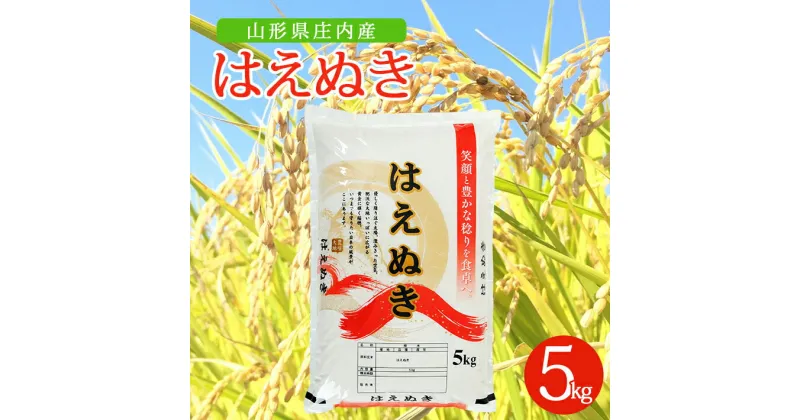 【ふるさと納税】はえぬき 5kg×1袋 令和6年産米 山形県庄内産 東北 山形県 酒田市 庄内地方 米 精米 白米 お米 ごはん ご飯 庄内米