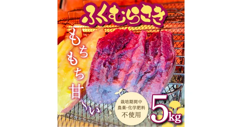 【ふるさと納税】 令和6年産先行予約 栽培期間中、農薬・化学肥料不使用 もちもち甘～い『ふくむらさき』5kg さつまいも サツマイモ 山形県 新庄市 F3S-1941