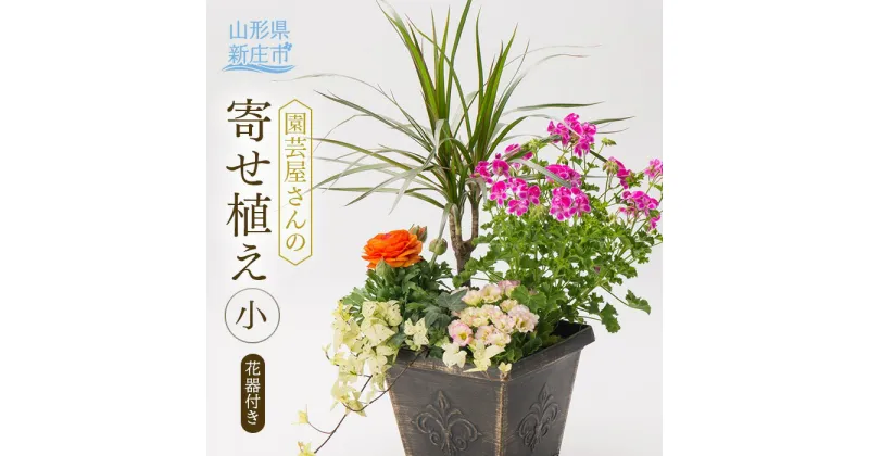 【ふるさと納税】園芸屋さんの寄せ植え小 山形県 新庄市 F3S-0292