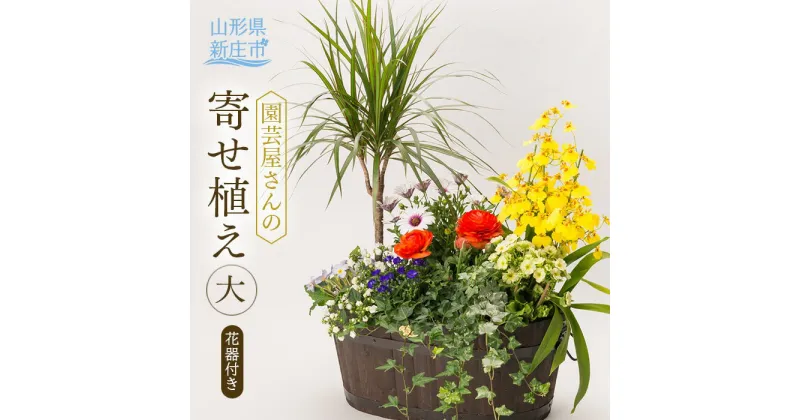 【ふるさと納税】園芸屋さんの寄せ植え大 植物 花 寄せ植え 園芸 贈り物 山形県 新庄市 F3S-0591