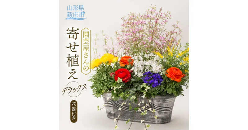 【ふるさと納税】園芸屋さんの寄せ植えデラックス 植物 花 寄せ植え 園芸 贈り物 ギフト プレゼント 山形県 新庄市 F3S-0808