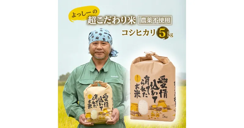 【ふるさと納税】よっしーの超こだわり米(農薬不使用) コシヒカリ 5kg こしひかり 米 お米 おこめ 山形県 新庄市 F3S-0996