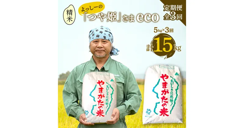 【ふるさと納税】【定期便全3回】令和6年産よっしーの「つや姫」さまeco（精米）5kg×3 米 お米 おこめ 白米 山形県 新庄市 F3S-1624