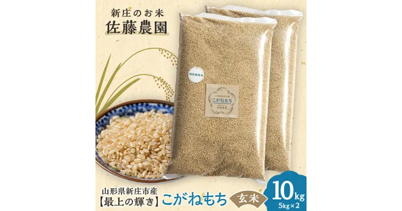 【ふるさと納税】特別栽培米【最上の輝き】こがねもち 玄米 5kg×2袋 米 もち米 餅 赤飯 おこわ 山形県 新庄市 F3S-1648