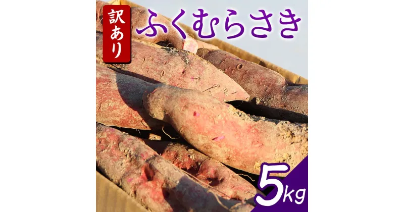 【ふるさと納税】 栽培期間中、農薬・化学肥料不使用 『訳あり ふくむらさき』5kg さつまいも サツマイモ 芋 F3S-1992