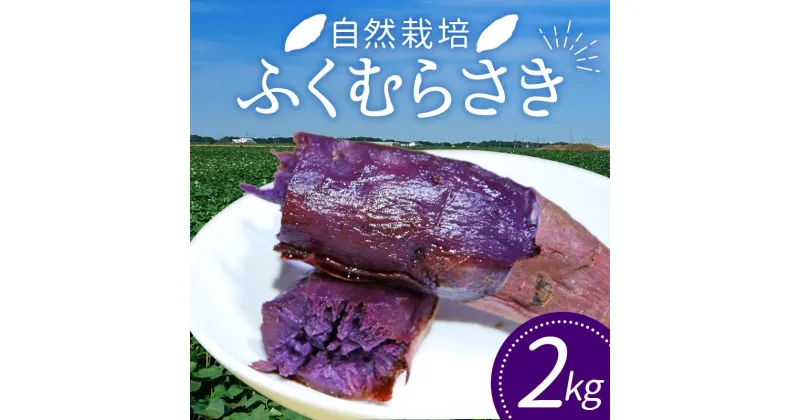 【ふるさと納税】 自然栽培 ふくむらさき 2kg さつまいも サツマイモ 芋 F3S-1995