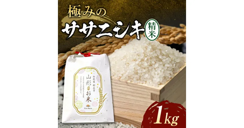 【ふるさと納税】 【令和6年産】先行予約 極みのササニシキ（精米）1kg 米 お米 おこめ 新米 ふるさと納税 山形県 新庄市 F3S-2202