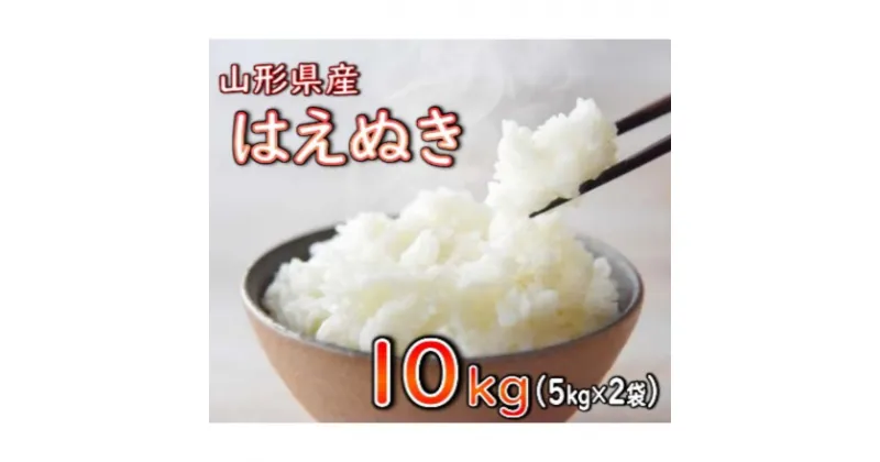 【ふるさと納税】はえぬき 精米 10kg（5kg×2袋） 【令和6年産】 2024年11月発送 山形県産 米 コメ こめ F3S-2242