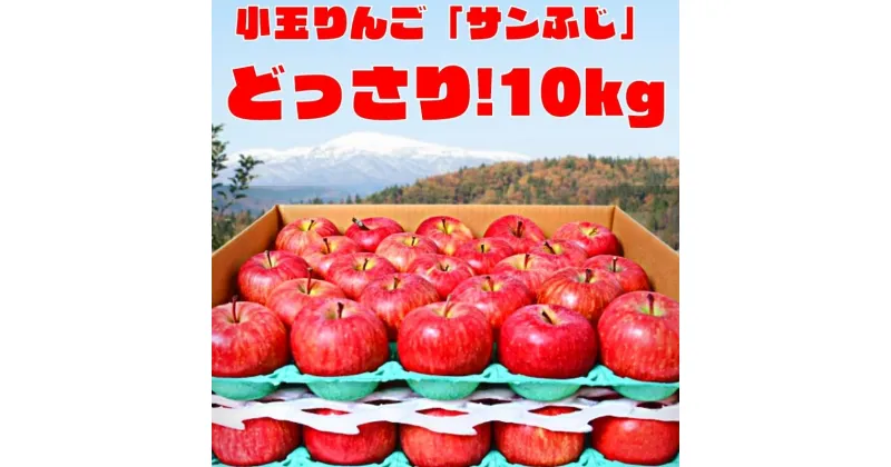 【ふるさと納税】りんご「サンふじ」10kg（40〜50玉）秀品 小玉サイズ 【2025年1月上旬頃〜下旬頃発送予定】 ／ お取り寄せ ご当地 特産 果物 フルーツ くだもの リンゴ 林檎 季節 冬 食後 デザート 2024年産 令和6年産 東北 山形県 10キロ