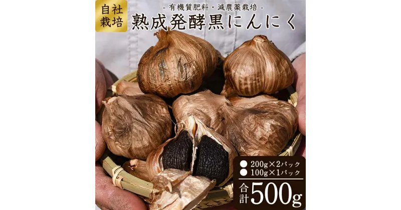 【ふるさと納税】こだわり農家の「 発酵熟成 黒にんにく 500g」 山形県産 ／ お取り寄せ ご当地 グルメ 特産 健康 ヘルシー バゲット 小分け 個包装 セット 詰合せ 詰め合わせ ニンニク 東北 ふるさと納税 加工品