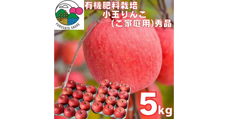 【ふるさと納税】有機肥料栽培 りんご「サンふじ」秀品 5kg（24玉）ご自宅用 小玉サイズ 【2024年12月上旬頃〜下旬頃発送予定】／ お取り寄せ ご当地 特産 産地直送 果物 フルーツ 林檎 リンゴ 小ぶり 小さめ 果物 東北 2024年産 令和6年産 山形県産 5キロ