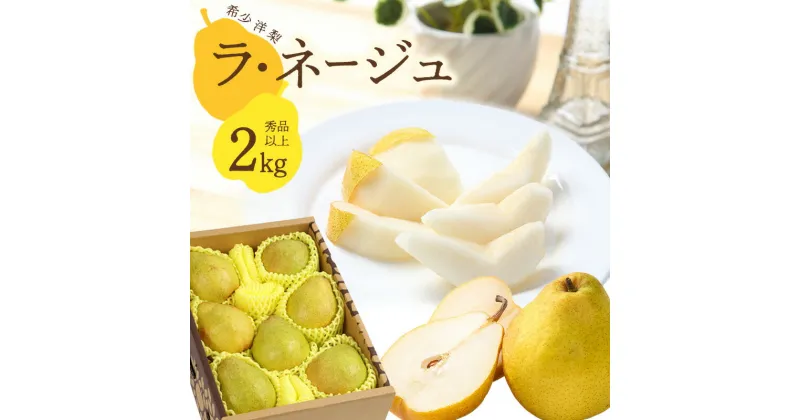 【ふるさと納税】洋梨「ラ・ネージュ」 2kg（5〜10玉） 秀品以上 《化粧箱入り》 サイズおまかせ 山形県産 【2024年11月下旬頃〜12月下旬頃発送予定】／ 果物 フルーツ くだもの お取り寄せ ご当地 特産 東北 冬 ラネージュ デザート 贈答 2024年産 令和6年産 2キロ