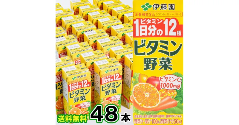 【ふるさと納税】ビタミン野菜 伊藤園 200ml 紙パック 48本 送料無料 24本×2箱 セット 栄養機能食品