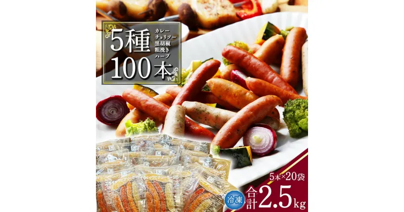 【ふるさと納税】5種のウインナー 合計2.5kg（125g×小分け20パック：計100本） ／ お取り寄せ 小分け 個包装 便利 冷凍 保存 備蓄 あらびき ソーセージ 食べ比べ 大容量 業務用 湯煎 牛 豚 肉 アウトドア バーベキュー 焼肉 おかず おつまみ 弁当 国内製造 東北 山形