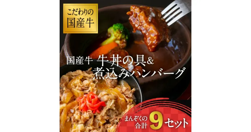 【ふるさと納税】《こだわりソースと玉ねぎが旨い簡単惣菜》国産牛 牛丼の具&煮込みハンバーグ 満足の9個セット 湯煎で温めるだけ お取り寄せ 個包装 小分け 国産牛 便利 時短 冷凍 簡単 土産 おかず 惣菜 お肉屋さん お歳暮 ギフト お弁当 子供 キャンプ レストラン