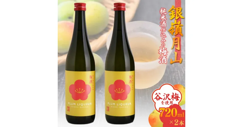 【ふるさと納税】銀嶺月山 純米酒仕込みの梅酒（720ml×2本セット）／ お取り寄せ リキュール お酒 地酒 日本酒 女子会 飲み会 ストレート ロック ソーダ割り 炭酸割り お湯割り カクテル 支援 応援 晩酌 美味しい 果実酒 アルコール 土産 貴重 国産 東北 山形 国産 月山酒造