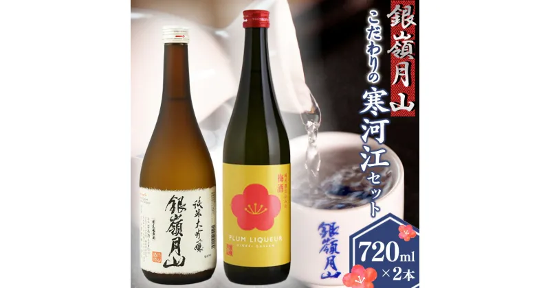 【ふるさと納税】銀嶺月山 《 純米大吟醸 と 梅酒 》こだわりの寒河江セット（720ml×2本） ／ お取り寄せ リキュール お酒 地酒 日本酒 飲み比べ 女子会 飲み会 ストレート ロック ソーダ割り お湯割り 支援 応援 晩酌 美味しい 果実酒 土産 国産 東北 山形 国産 月山酒造