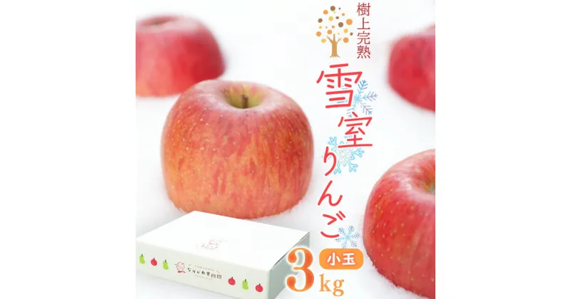 【ふるさと納税】雪室りんご 3kg「樹上完熟 ふじりんご」 小玉サイズ 山形産 【2025年1月下旬頃〜3月初旬頃 発送予定】／ お取り寄せ ご当地 特産 果物 フルーツ くだもの リンゴ 林檎 季節 冬 食後 デザート 2024年産 令和6年産 東北 山形県 3キロ ふるさと納税 りんご