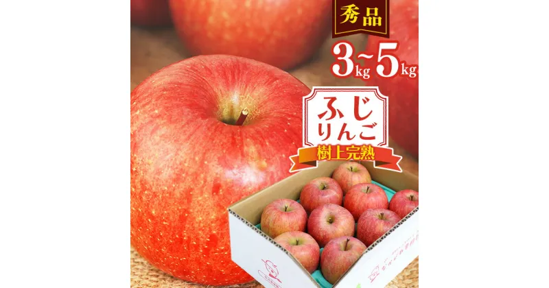 【ふるさと納税】りんご 3kg 5kg 秀品 「ふじりんご」生産者直送 【2024年12月頃から発送予定】／ お取り寄せ ご当地 特産 産地直送 果物 フルーツ 新鮮 季節 冬 林檎 デザート おやつ 東北 2024年産 令和6年産 山形県産 3キロ 5キロ ふるさと納税 りんご