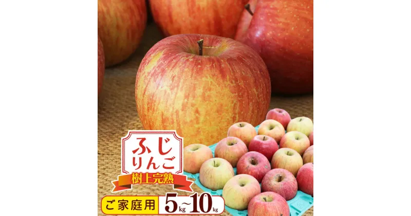 【ふるさと納税】りんご 5kg 10kg 家庭用 「ふじりんご」生産者直送 《訳あり》【2024年12月頃から発送予定】 SDGs フードロス 不揃い 規格外 ／ お取り寄せ 特産 果物 フルーツ 冬 林檎 リンゴ デザート おやつ 東北 2024年産 令和6年産 山形県産 5キロ 10キロ 自宅用