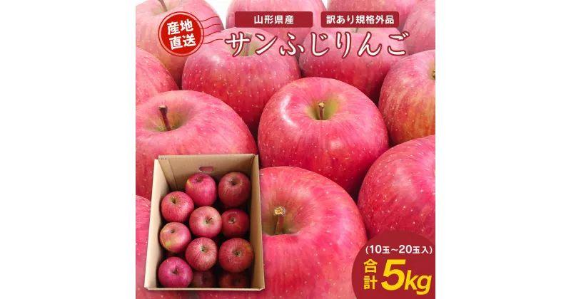 【ふるさと納税】《 ご家庭用 》 サンふじ りんご 5kg (約10玉〜20玉) 【11月下旬頃から順次発送予定】／ りんご 訳あり 5キロ フルーツ 果物 くだもの 山形県産 農家直送 数量限定 2024年産 送料無料 山形 寒河江市