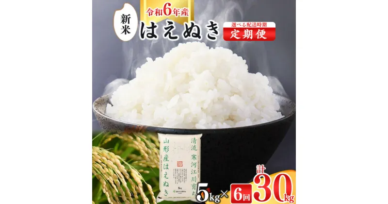 【ふるさと納税】令和6年産 《5kg 6回定期便》 山形県産 はえぬき 5kg(5kg×1袋)×6回 2024年産 令和6年産 ／ お取り寄せ 特産 白米 小分け 便利 弁当 ごはん ご飯 ライス 食品 食料品 朝食 昼食 夕食 夕飯 東北 5キロ 30キロ 6ヵ月 6か月 故郷納税