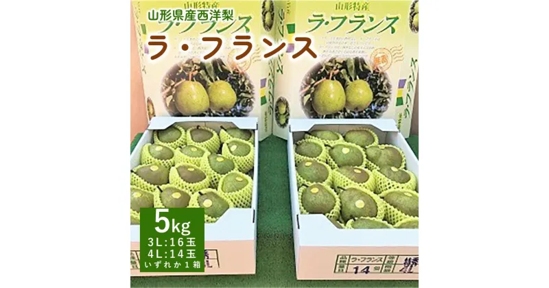 【ふるさと納税】西洋梨 ラ・フランス 5kg 特秀品 1箱 果物 フルーツ 洋梨 お取り寄せ 産地直送 送料無料 秋 旬 山形県 上山市 0089-2404