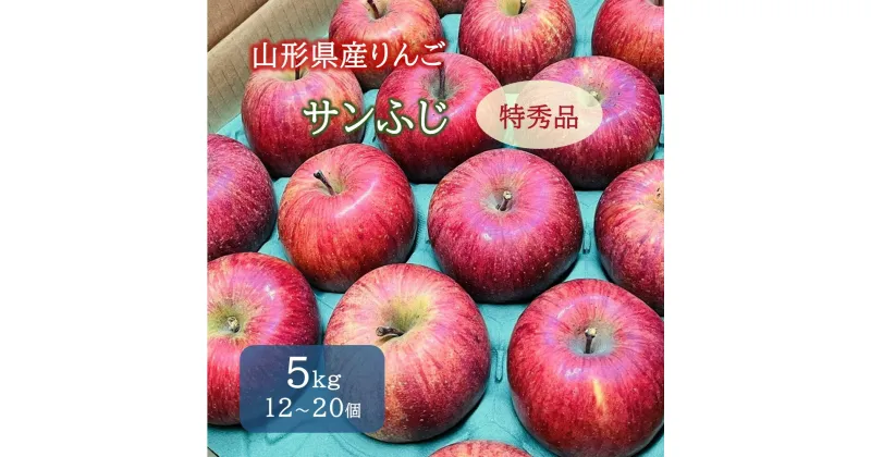 【ふるさと納税】りんご ( サンふじ ) 5kg 12〜20個 特秀品 果物 フルーツ 産地直送 送料無料 山形県 上山市 0065-2411