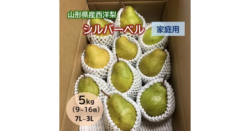 【ふるさと納税】西洋梨（シルバーベル） 5kg ご家庭用 9～16個 7L～3L サイズ 果物 フルーツ 洋梨 なし 山形県 上山市 0065-2409