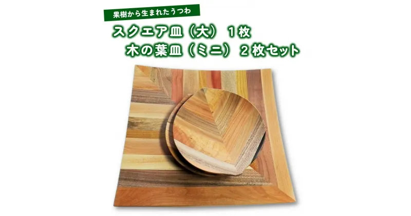 【ふるさと納税】【 果樹から生まれた くだもの うつわ 】 スクエア皿 (大) 1枚 木の葉皿 ミニ 2枚 セット 山形県 上山市 0058-2202