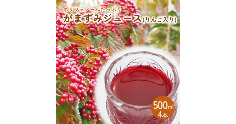 【ふるさと納税】【2025年1月から発送】がまずみ ジュース ( りんご 入り) 500ml × 4本 産地直送 山形 お取り寄せ 送料無料 山形県 上山市 0075-2416