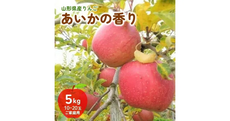 【ふるさと納税】 りんご (あいかの香り) 5kg ご家庭用 10～20玉 果物 フルーツ 産地直送 山形 お取り寄せ 送料無料 山形県 上山市 0075-2412