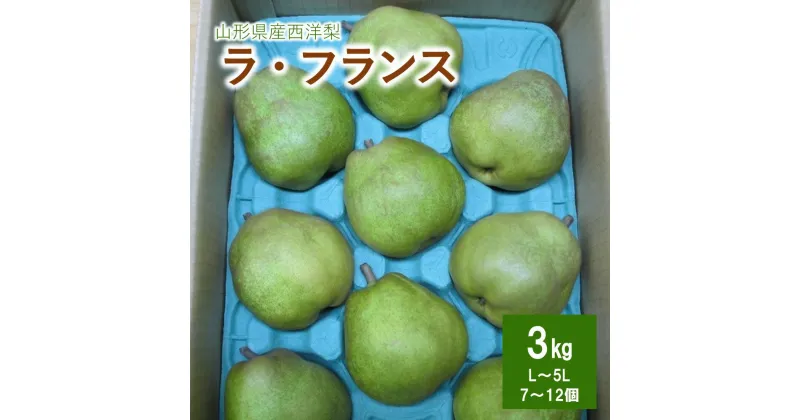 【ふるさと納税】西洋梨 （ラ・フランス） 3kg ご家庭用 果物 フルーツ 産地直送 山形 洋なし お取り寄せ 送料無料 山形県 上山市 0110-2408