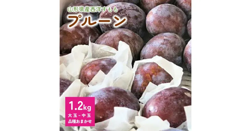 【ふるさと納税】 プルーン 1.2kg 大玉~中玉 品種おまかせ 果物 フルーツ 産地直送 山形 お取り寄せ 送料無料 山形県 上山市 0075-2405