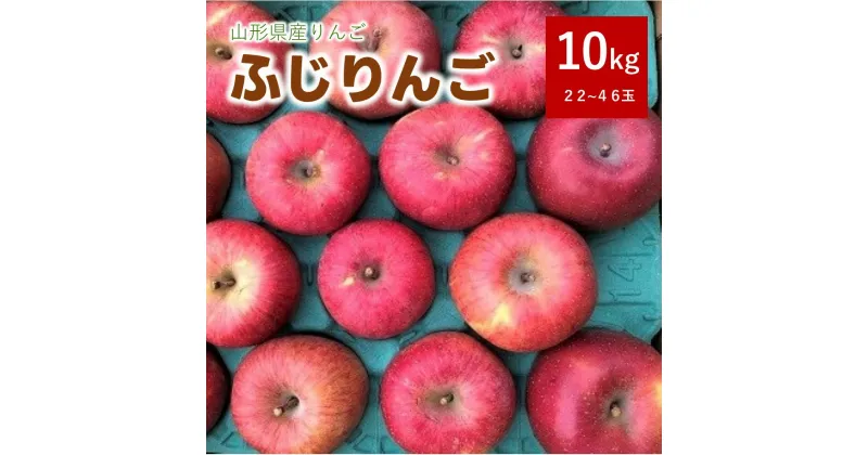 【ふるさと納税】りんご ( ふじりんご ) 10kg 無袋栽培 22～46玉 家庭用 ジュース用 果物 フルーツ お取り寄せ 産地直送 送料無料 山形県 上山市 0007-2405