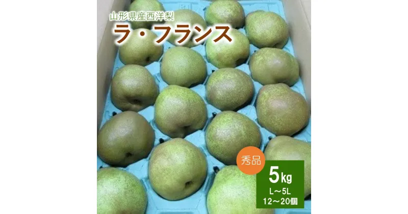 【ふるさと納税】西洋梨 （ラ・フランス） 5kg 果物 フルーツ 産地直送 山形 お取り寄せ 送料無料 山形県 上山市 0110-2411