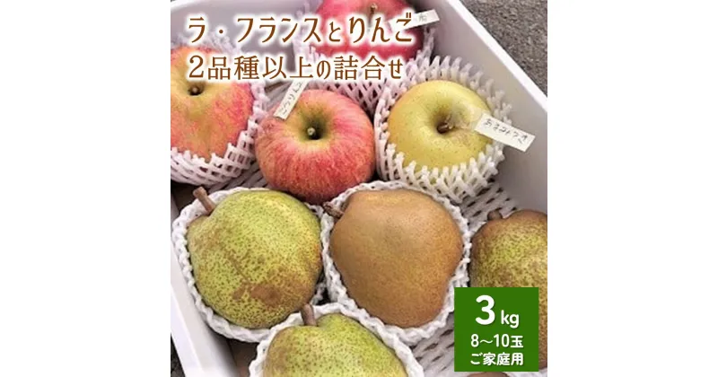 【ふるさと納税】 ラ・フランス と りんご 2品種 以上の 詰合せ 3kg ご家庭用 8～10玉 果物 フルーツ 産地直送 山形 洋なし お取り寄せ 送料無料 秋 旬 山形県 上山市 0075-2411