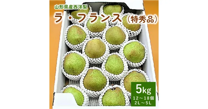 【ふるさと納税】西洋梨 （ラ・フランス） 5kg 贈答用 化粧箱入り 果物 フルーツ 産地直送 山形 お取り寄せ 送料無料 山形県 上山市 0110-2413