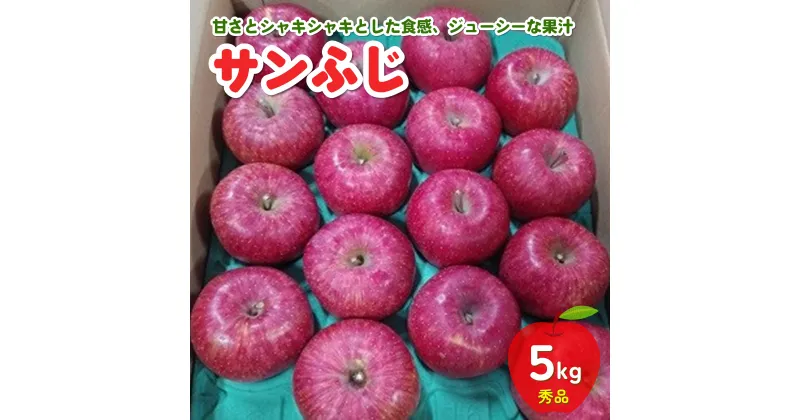 【ふるさと納税】 りんご ( サンふじ ) 5kg 16~25玉 秀品 フルーツ 果物 リンゴ 山形 産地直送 送料無料 お取り寄せ 山形県 上山市 0030-2417