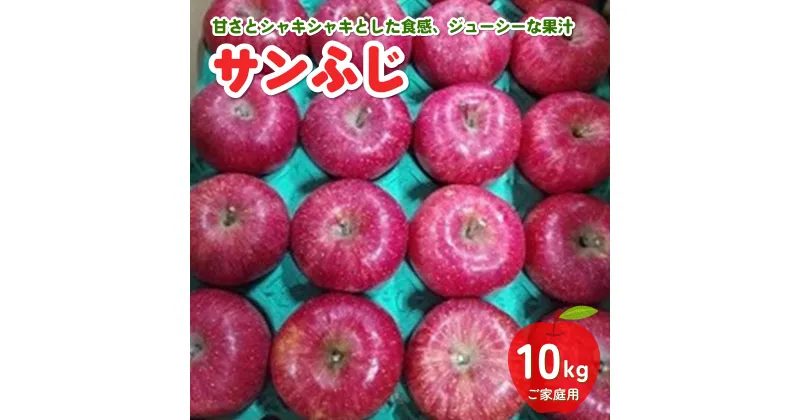 【ふるさと納税】 りんご ( サンふじ ) 10kg ご家庭用 フルーツ 果物 リンゴ 山形 産地直送 送料無料 お取り寄せ 山形県 上山市 0030-2418