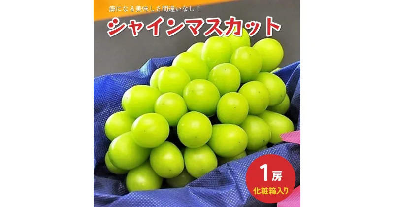 【ふるさと納税】 ぶどう ( シャインマスカット ) 1房 化粧箱入り 山形県 上山市 0010-2404