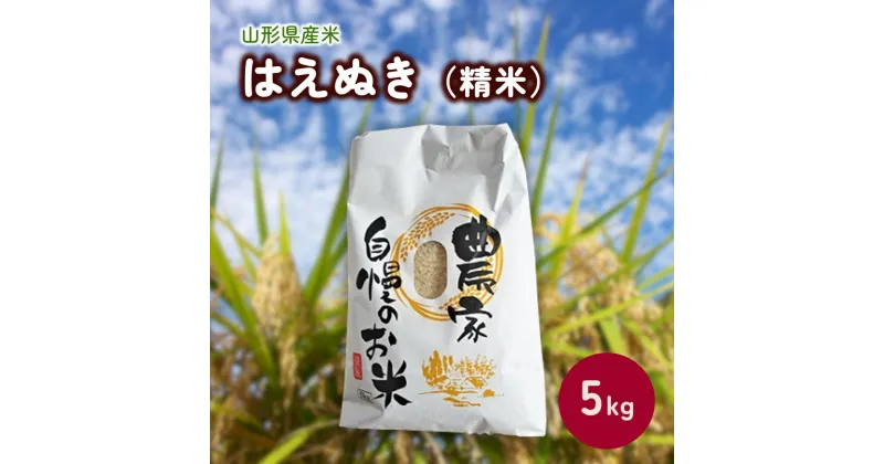 【ふるさと納税】【2024年11月～発送】令和6年産 はえぬき ( 精米 ) 5kg 米 白米 クリーン白米 山形 送料無料 産地直送 お取り寄せグルメ 山形県 上山市 0030-2420