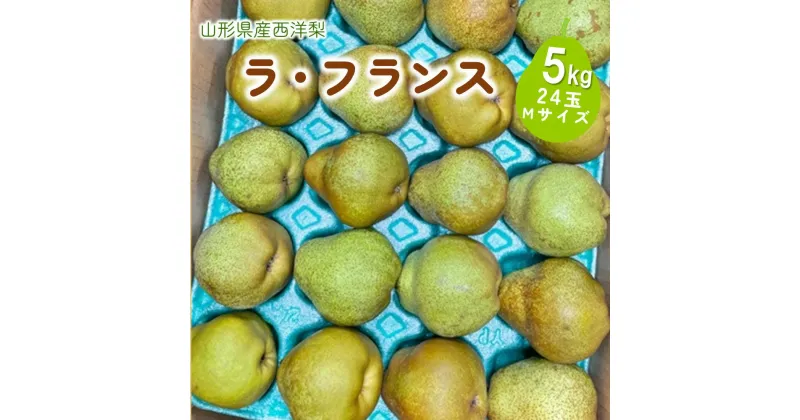 【ふるさと納税】 西洋梨 （ ラ・フランス ） 5kg Mサイズ ご家庭用 24玉 フルーツ 果物 傷 不揃い 山形県産 ラフランス 洋梨 お取り寄せ グルメ 産地直送 送料無料 山形県 上山市 0055-2416