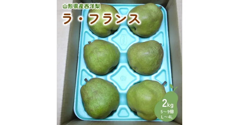 【ふるさと納税】西洋梨 （ラ・フランス） 2kg ご家庭用 果物 フルーツ 洋なし 産地直送 山形 お取り寄せ 送料無料 山形県 上山市 0110-2407