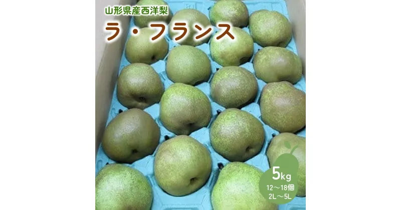 【ふるさと納税】西洋梨 （ラ・フランス） 5kg 特秀・秀品混合 果物 フルーツ 産地直送 山形 お取り寄せ 送料無料 山形県 上山市 0110-2412