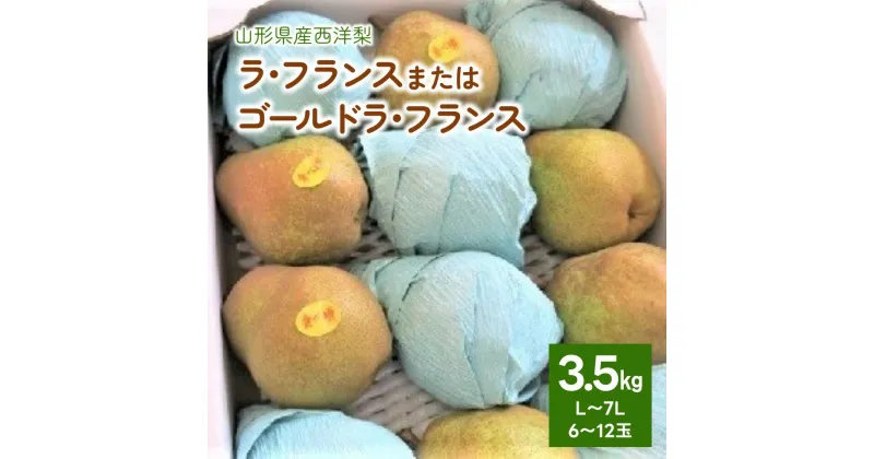 【ふるさと納税】 西洋梨 （ ラ・フランス または ゴールドラ・フランス ）3.5kg ご家庭用 6～12玉 7L～L サイズ 果物 フルーツ 洋なし 産地直送 山形 お取り寄せ 送料無料 秋 旬 山形県 上山市 0075-2407